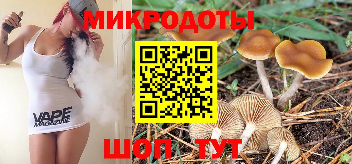Галлюциногенные грибы Psilocybe  Вход с VPN  Холмск  Псилоцибиновые грибы MAGIC MUSHROOMS 