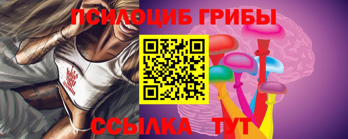 Псилоцибиновые грибы Psilocybe Холмск